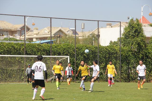 杨瀚森22+14青岛胜深圳 吴前17分浙江险胜广州